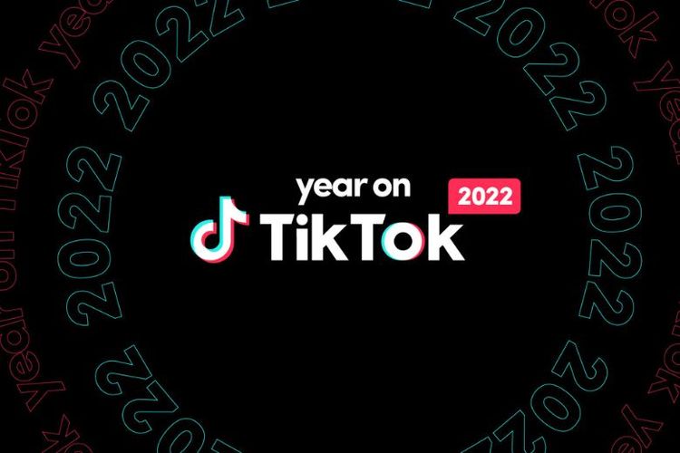 TikTok menobatkan Pandawara Group (@pandawaragroup) sebagai salah satu TikTok Local Heroes dalam Year on TikTok 2022. 
