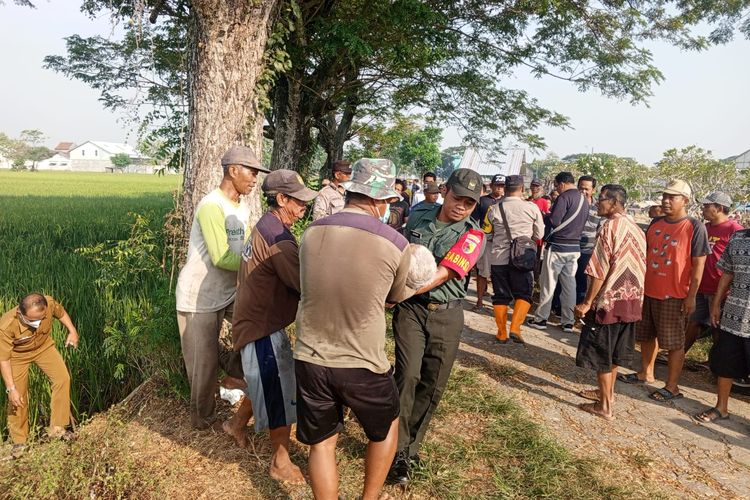 Jasad kakek Mulyadi (74) yang ditemukan tewas tersengat listrik jebakan tikus bertenaga listrik dievakuasi untuk dibawa ke RSUD Caruban, Selasa (21/5/2024).