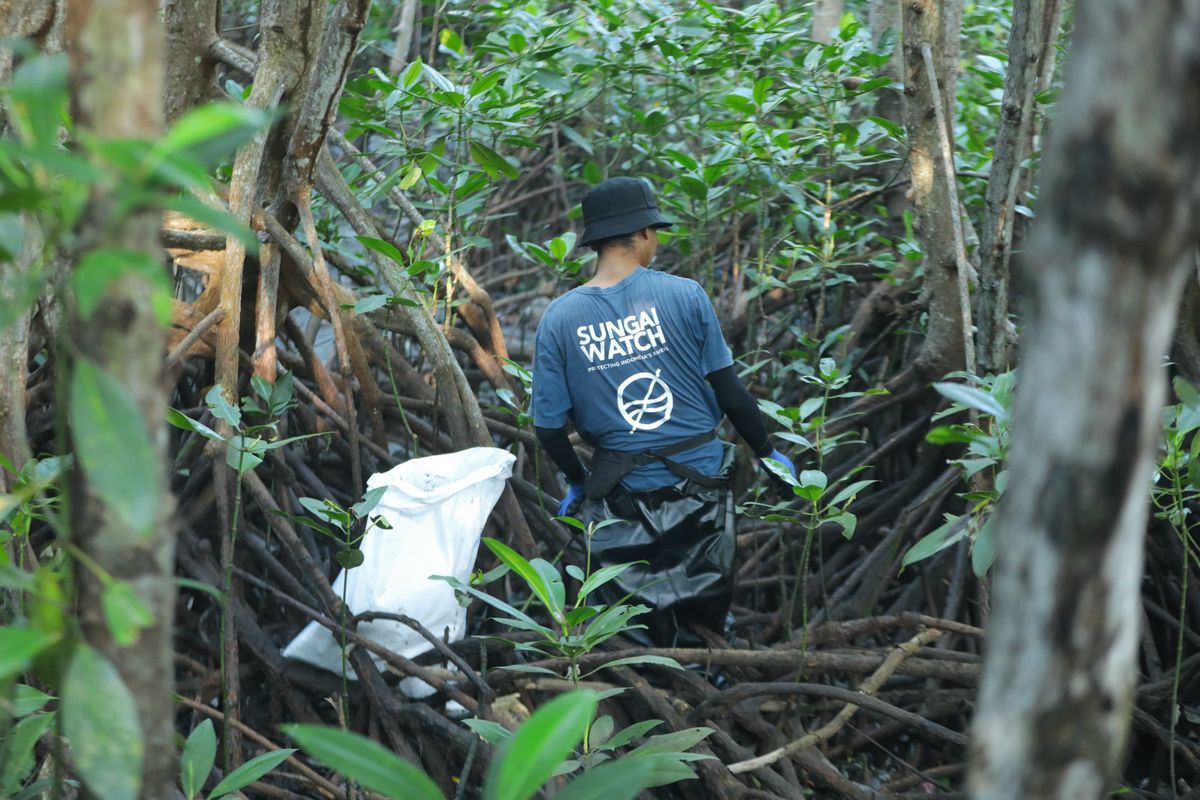 Kerja bakti massal mangrove di Denpasar, Bali, Selasa (25/2/2025).