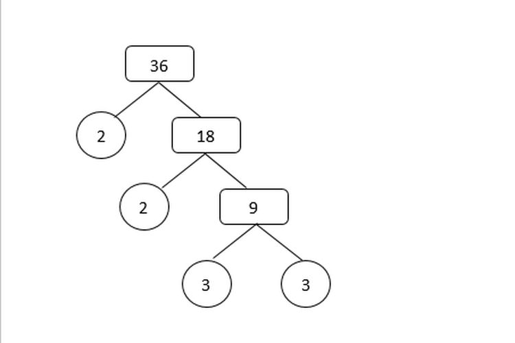 Pohon faktor bilangan 36