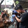 49 Ternak Terpapar PMK, Seluruh Pasar Hewan di Ngawi Ditutup