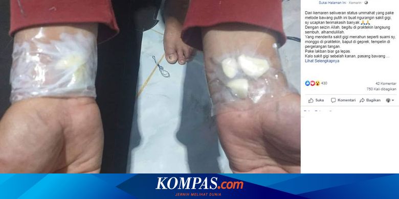 Viral Benarkah Tempelkan Bawang Putih Di Tangan Bisa Sembuhkan Sakit Gigi Halaman All Kompas Com