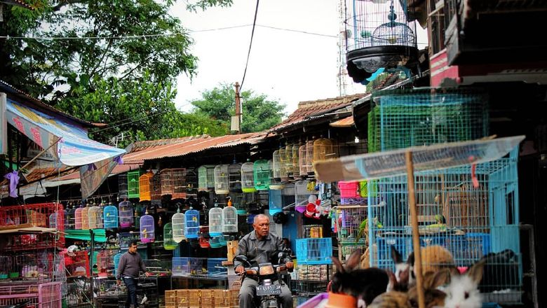 Pasar Burung splendid di Kota malang.