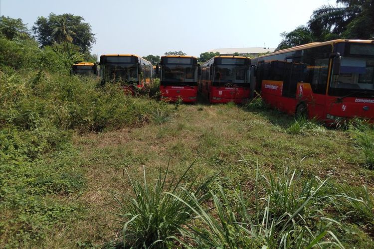 Puluhan bus Transjakarta tidak terpakai di Perum Pengangkutan Penumpang Djakarta (PPD) Ciputat, Tangerang Selatan, Banten, Kamis (25/7/2019)