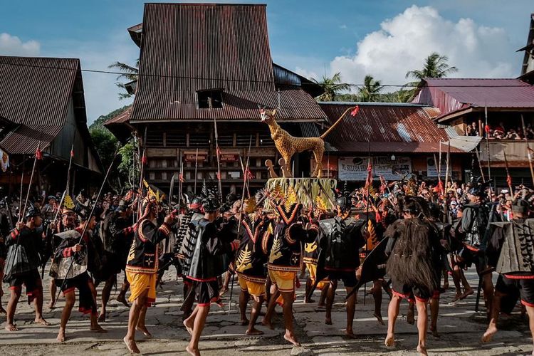 Tradisi Famadaya Harimao, yakni mengarak patung yang menyerupai harimau untuk penyucian dan pembaharuan atas hukum adat yang berlaku di seluruh daerah Maniamölö.