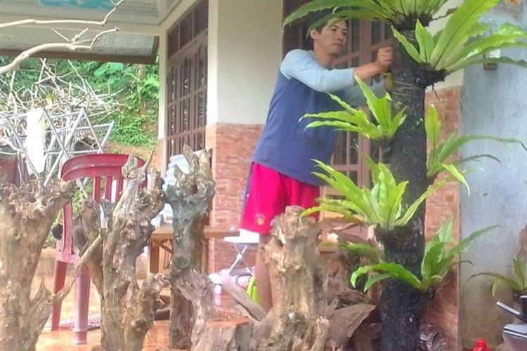 Seorang pemuda bernama Kosim (30), warga Padukuhan Jogowono, Desa Donorejo Kecamatan Kaligesing, Kabupaten Purworejo, Jawa Tengah berhasil meraup untung jutaan rupiah dari berjualan pakis hutan.