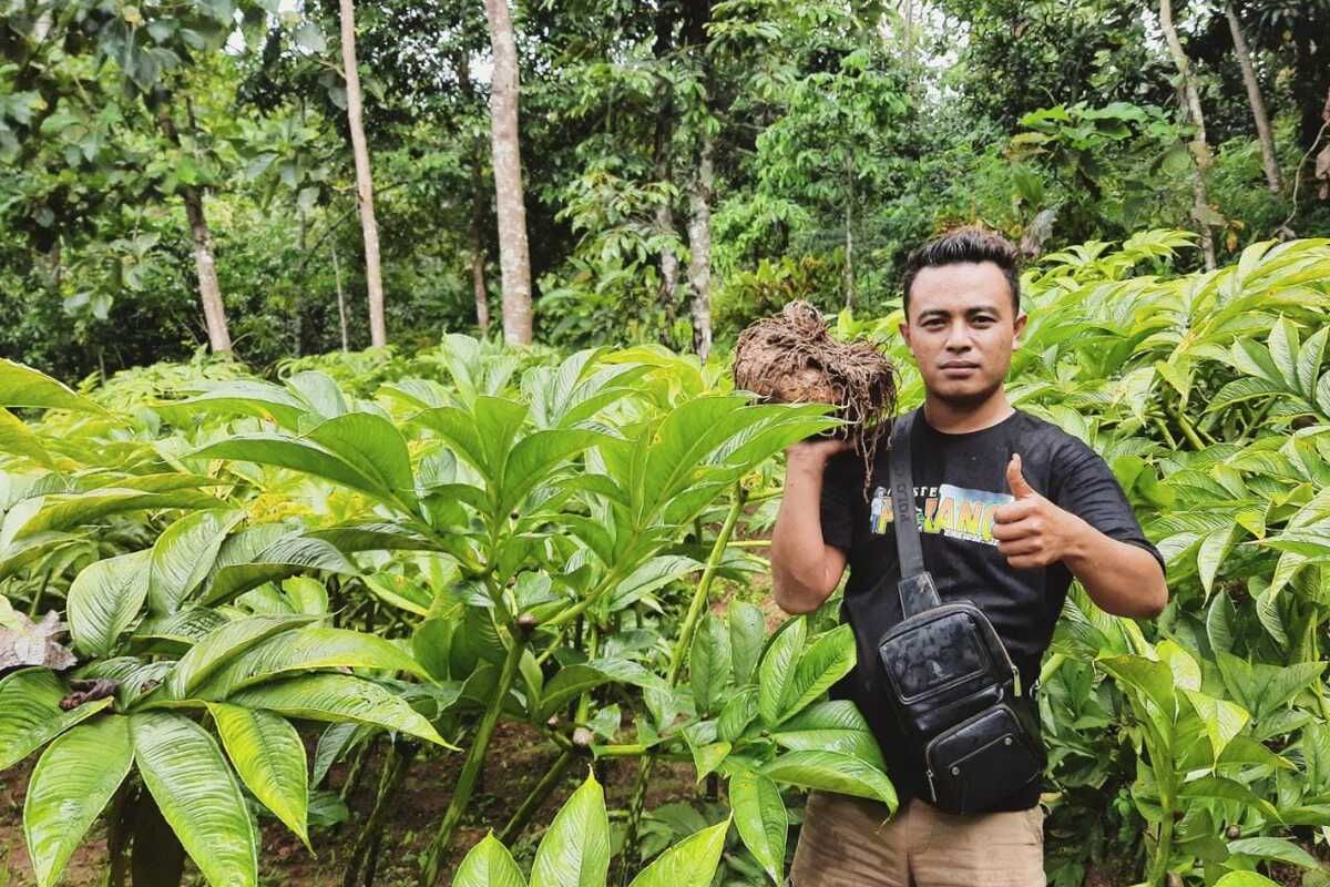 SUKSES—Sujito (30) salah satu petani milineal asal Desa Durenan, Kecamatan Gemarang, Kabupaten Madiun, Jawa Timur yang sukses membudidayakan porang.