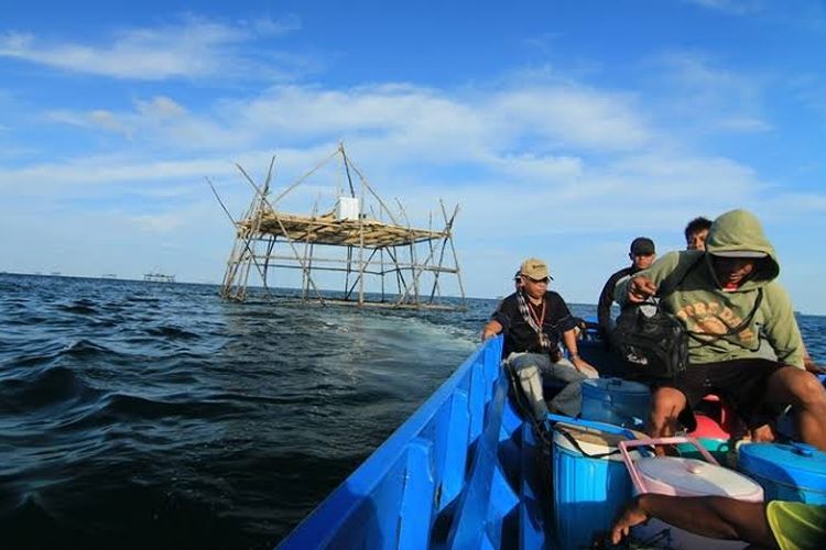 Sejumlah nelayan bagan pulau Sebatik di perbatasan RI - Malaysia mengeluhkan pengiriman kayu nibung sebagi bahan utama kontruksi bagan ke Malaysia. Penyelundupan nibung berpotensi mengancam ekonomi dan eksistensi produk ekspor teri ambalat