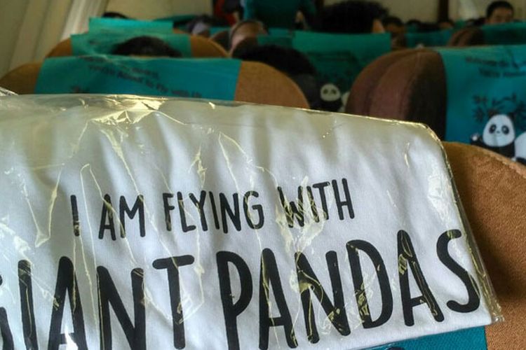 Dalam penerbangan pesawat Airbus 330-200 Garuda Indonesia dari China ke Indonesia, Kamis (28/9/2017), setiap penumpang mendapatkan kaus bergambar panda dan bertuliskan I AM FLYING WITH GIANT PANDAS.