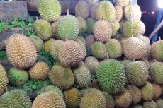 Besok, Penumpang Bisa Makan Durian Gratis di 3 Stasiun Kereta Ini