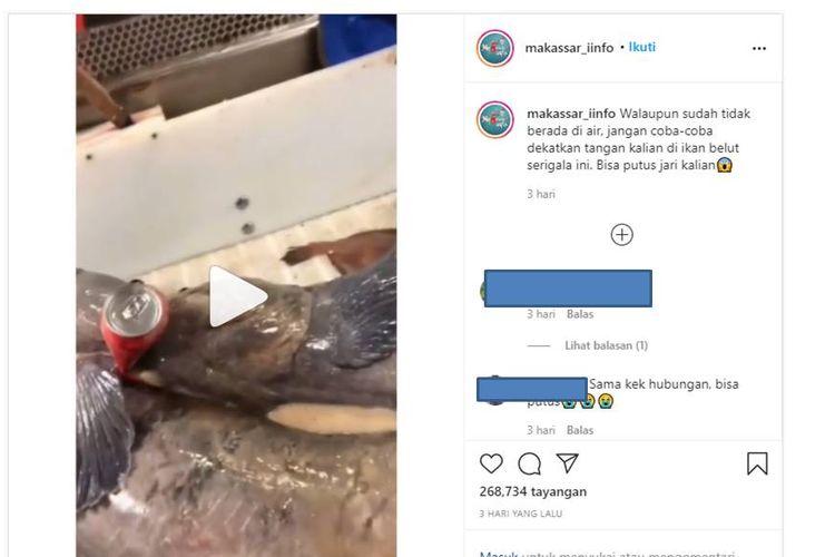 Tangkapan layar Instagram video ikan mirip lele meremukkan kaleng minuman