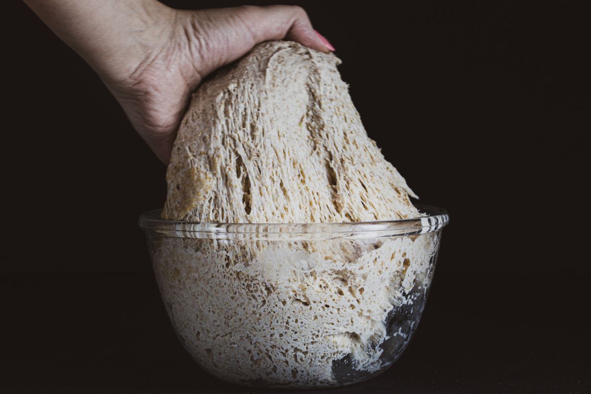 Ilustrasi adonan roti sourdough