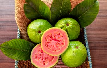 4 Efek Samping Makan Jambu Biji, Apa Saja? Halaman all - Kompas.com