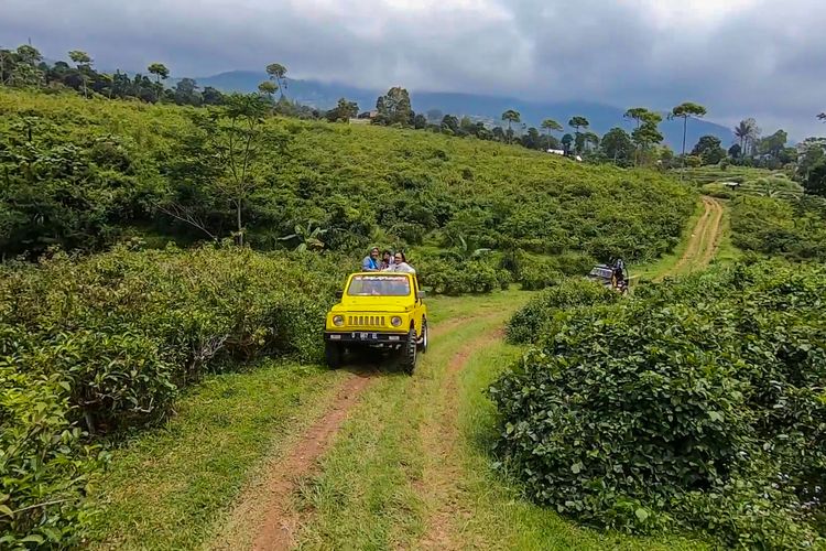 Jeep Wisata Gunung Lawu di Kecamatan Ngargoyoso, Karanganyar.