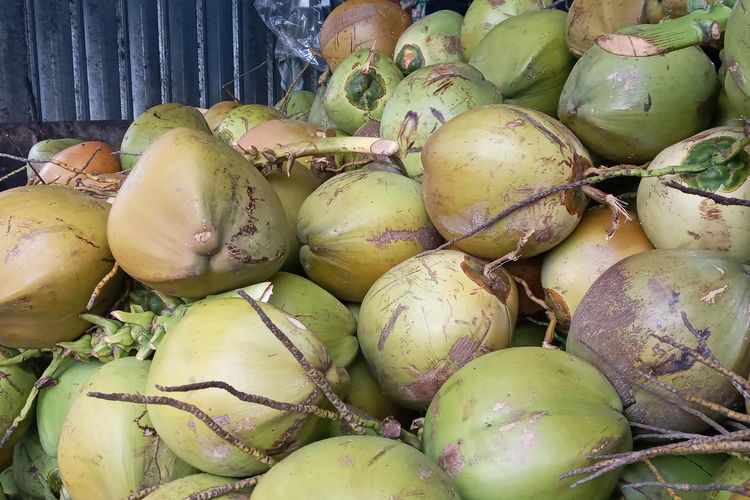 Ketua Satgas MBG Gresik Wanti-wanti Usai 9 SPPG Kena Suspend Imbas Berikan Kelapa Utuh