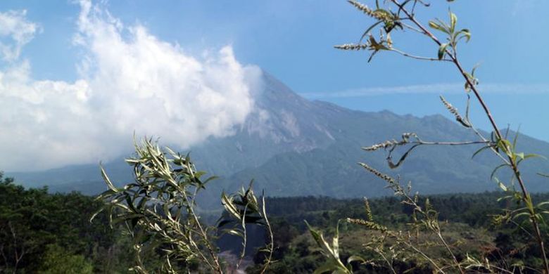 Panorama Gunung Merapi dari bungker Kaliadem, Sleman, Yogyakarta.