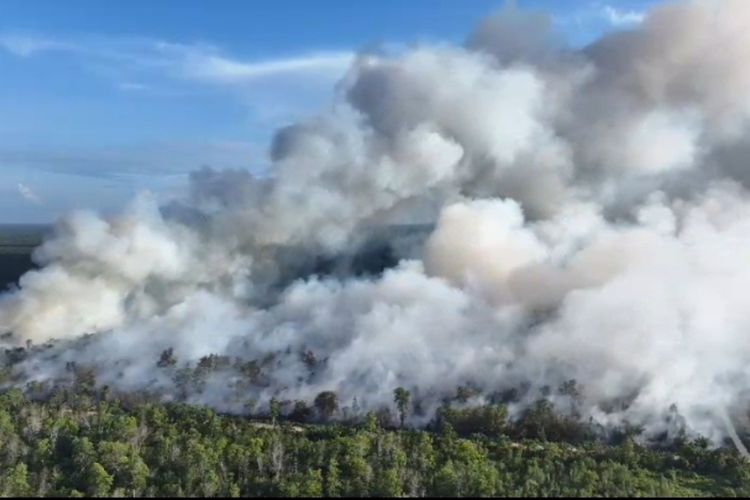 Karhutla Riau Capai 2.713 Hektare di Awal 2026, Alarm Bahaya Jelang El Nino