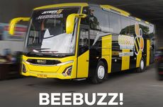 Bus Baru Bee Buzz, Pakai Bodi Jetbus 5 Warna Belang