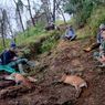 4 Pemburu Satwa Liar di TN Merbabu Terancam 15 Tahun Penjara