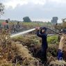 Terpantau di Aplikasi Lancang Kuning, Kebakaran Hutan di Riau Kini Cepat Teratasi