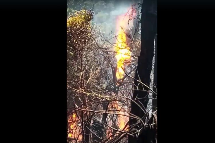 Sepekan Kebakaran Gunung Gede Pangrango, Bara Api di Tebing Kawah Wadon Masih Terpantau