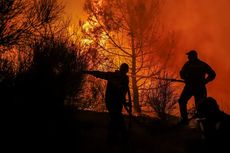 Gunung Penanggungan Mojokerto Terbakar, Api Terlihat dari Sidoarjo