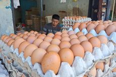 Harga Telur di Makassar Naik, Pedagang Mengeluh