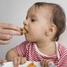 IDAI Ingatkan MPASI Tepat untuk Cegah Stunting, Luruskan Mitos yang Masih Beredar