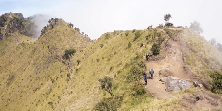 Jalur pendakian menuju Puncak Merbabu dilihat dari Puncak Syarif, 3.119 mdpl. Jalur terlihat seperti beberapa punuk unta yang bergabung. 