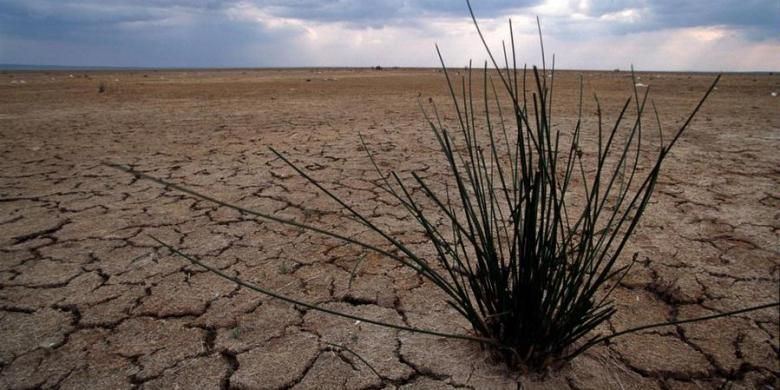 Selain Lingkungan Perubahan Iklim Juga Ancam Kesehatan Mental Kita Halaman All Kompas Com Selain Lingkungan Perubahan Iklim Juga Ancam Kesehatan Mental Kita Halaman All Kompas Com