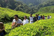 Desa Wisata Semakin Menjamur di Bogor, Total Ada 55 Desa Tahun 2022