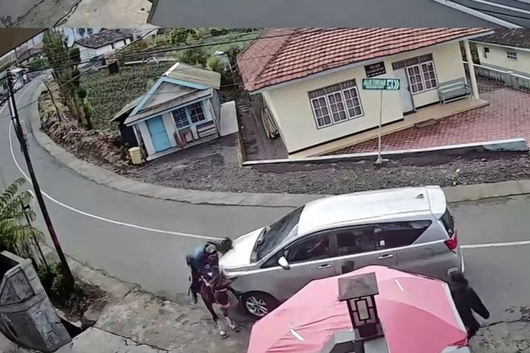 Kuda Tabrak Innova di Jalur Bromo, Penunggang Terpelanting