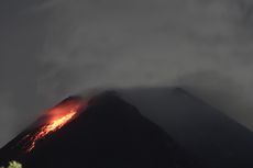 Dalam 6 Jam, Gunung Merapi Keluarkan 3 Kali Awan Panas dan 47 Kali Guguran Lava Pijar