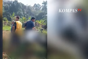 Pesawat Latih Jatuh di Ciampea Bogor, Satu Orang Tewas