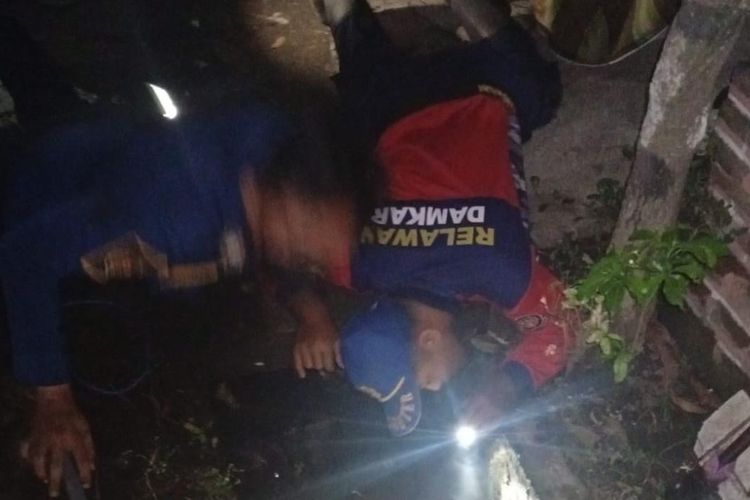 Ular Piton 3 Meter Muncul di Jalur Bromo, Warga Pasuruan Panik
