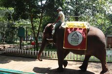 Panduan Wisata Safari Beach Jateng di Batang