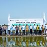Pelindo Terminal Petikemas Dukung Program Prioritas Jateng, Tanam 50.000 Bibit Mangrove