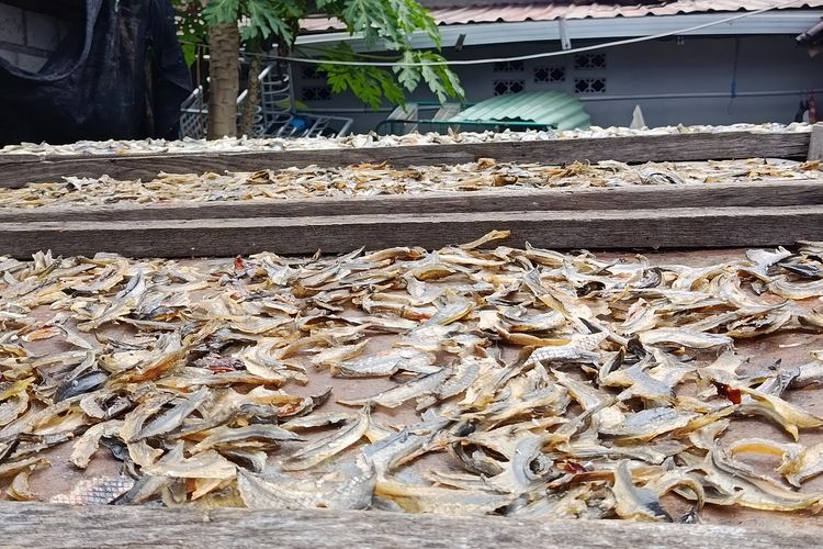Sirip ikan tuna yang tengah dikeringkan, Jumat (5/12/2025). Sirip ikan tuna yang dulu tak bernilai diolah Saropah menjadi kerupuk bernilai ekonomi. Namun, cuaca tak tentu masih jadi penghambat usahanya.