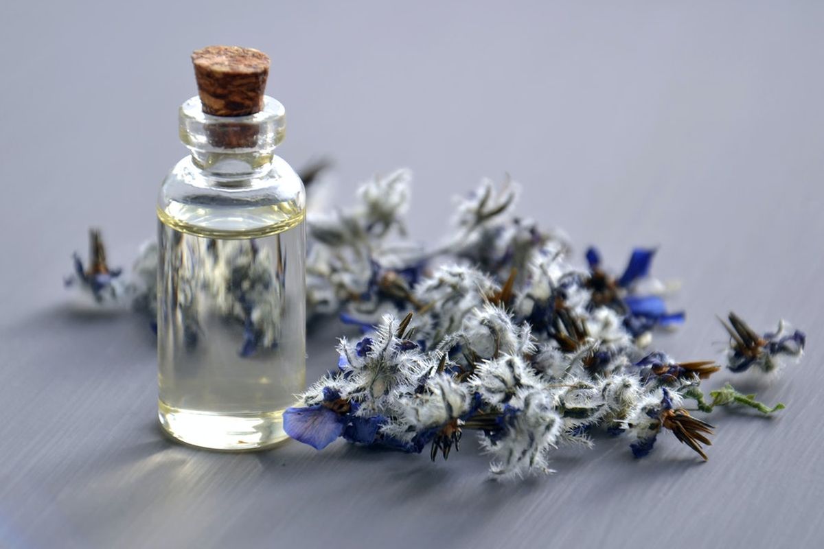 Ilustrasi essential oil lavender, minyak lavender.
