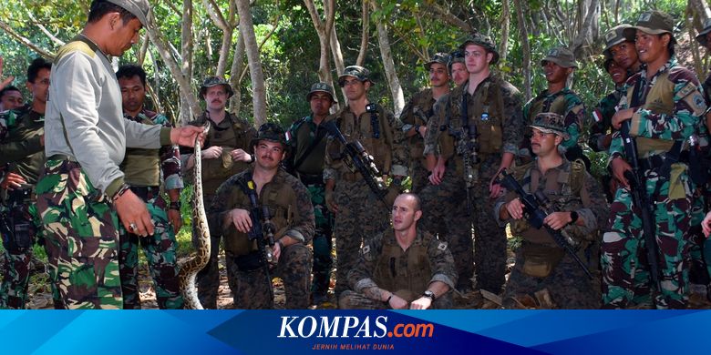 Latihan Perang Hutan, Marinir Amerika Diajari Makan Ular hingga Biawak - Vimarsana News