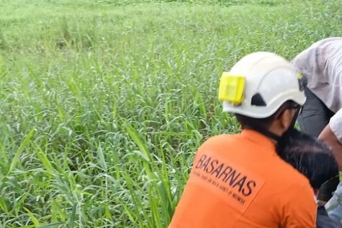 Petugas SAR mengevakuasi penumpang pikup yang terjerumus ke sawah di Jalan Raya Denpasar - Gilimanuk di Desa Kaliakah, Kecamatan Negara, Kabupaten Jembrana, Provinsi Bali, Jumat (16/12/2022). 
