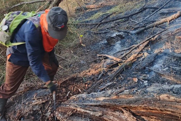Cegah Karhutla dari Malang Merembet, Petugas Sekat Perbatasan Pasuruan