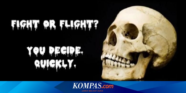 Mengapa Manusia Merasa Takut Ini Penjelasan Ilmiahnya