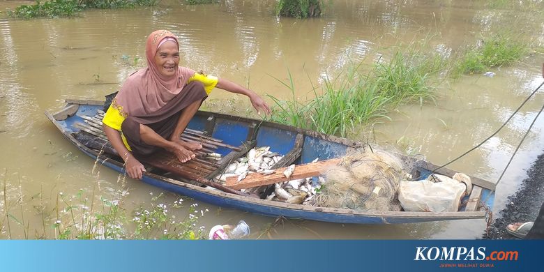 Berkah di Balik Banjir Rokan Hulu, Ikan Melimpah, Warga Panen - Kompas.com - KOMPAS.com