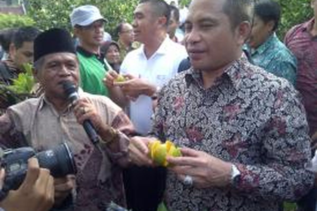 Menteri Desa PDT Marwan Jafar, saat petik jeruk di desa wisata petik jeruk, di Desa Selorejo, Kecamatan Dau, Kabupaten Malang, Jawa Timur, Jumat (27/3/2015). 