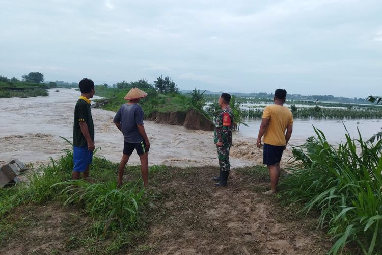Ratusan Hektar Sawah di Demak Kebanjiran, DPRD Desak Pemerintah Hitung Kerugian Petani
