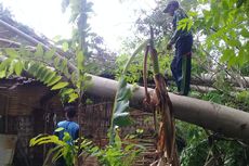 Hujan Deras dan Angin Kencang, Ratusan Rumah Rusak di Probolinggo