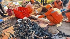 Tebuireng Bahas Hukum Basmi Ikan Sapu dan Lebur Jasad Manusia, Ini Penjelasannya