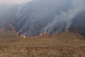 Kebakaran Bromo Meluas Jadi 80 Hektare, Akses Wisata Dibatasi hingga Lautan Pasir