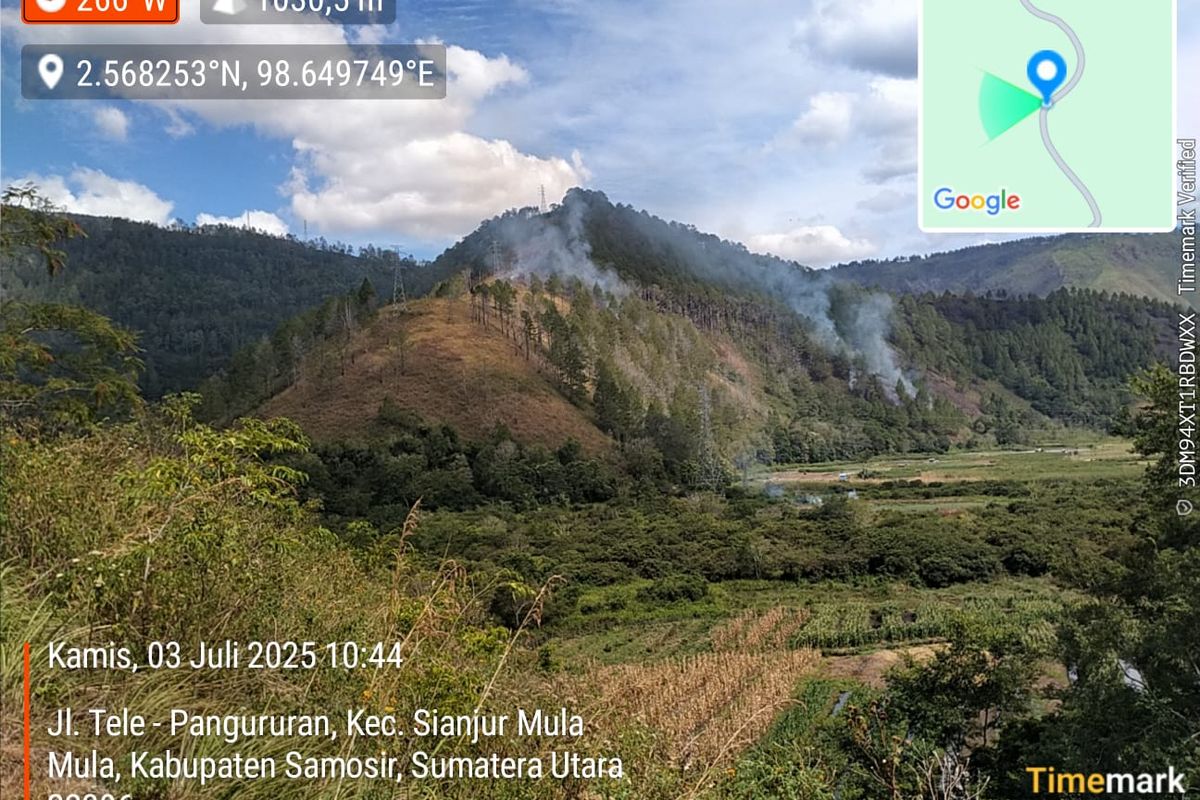 Penampakan sisa kebakaran hutan dan lahan (Karhutla) terjadi Menara Pandang Tele, Desa Partungko Naginjang, Kecamatan Harian, Kabupaten Samosir, Sumatera Utara,Kamis  (3/7/2025).